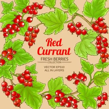 Red currant frame Stock Illustration