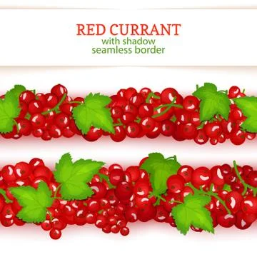 Red currant fruit horizontal seamless borders. Vector illustration Stock Illustration
