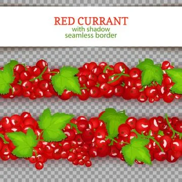 Red currant fruit horizontal seamless borders. Vector illustration Stock Illustration