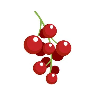 Red currant fruit icon flat isolated vector イラスト素材