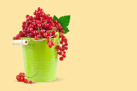 Red currant in a green cup on a yellow background. Horizontal. Background with Stock Photos