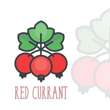 Red currant icon over white in flat style, vector illustration Illustrazione stock