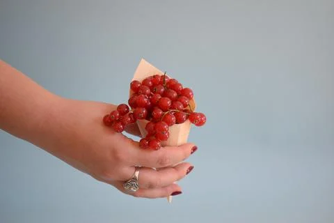 Red currant isolated on blue background Stock Photos