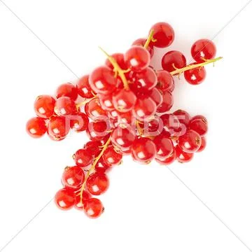 Red Currant isolated over white background Stock Photos