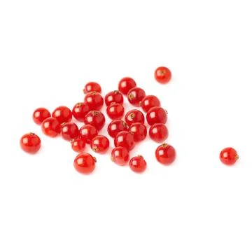 Red Currant isolated over white background Stock Photos