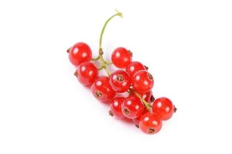 Red currant isolated on white background Stock Photos