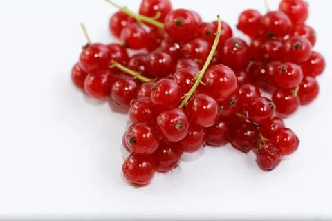 Red currant isolated on white background Stock Photos