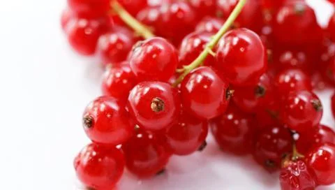 Red currant isolated on white background Foto stock