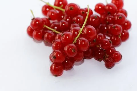Red currant isolated on white background Stock Photos