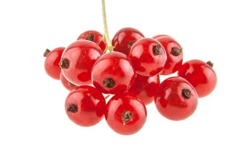 Red currant isolated on white background Stock Photos