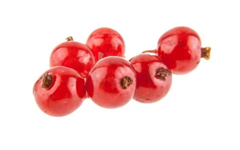 Red currant isolated on white background Stock Photos