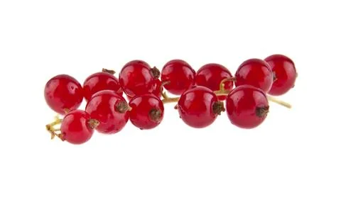 Red currant isolated on white background closeup Stock Photos