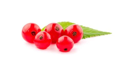 Red currant isolated on white background Stock Photos
