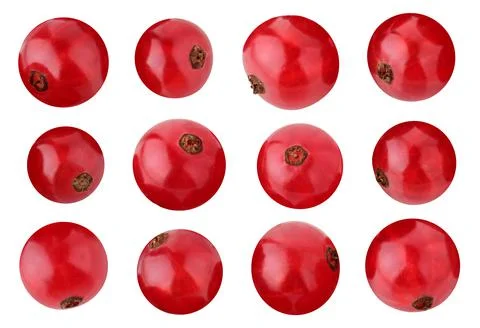 Red currant isolated on white background Stock Photos