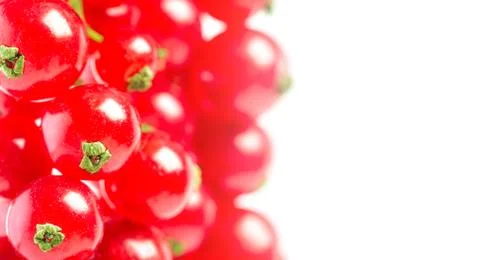 Red currant isolated on white background.C Stock Photos