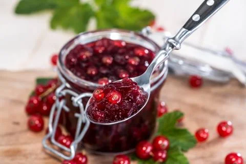 Red currant jam Stock Photos