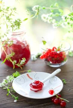 Red currant jam Stock Photos