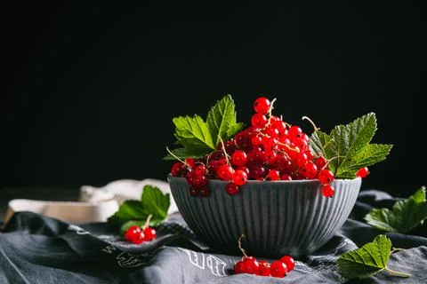 Red currant with leaves in a gray ceramic bowl on a gray kitchen towel. Stock Photos