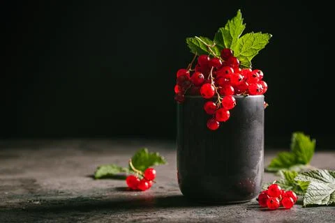 Red currant with leaves in a gray ceramic cup on a gray background. Stock Photos