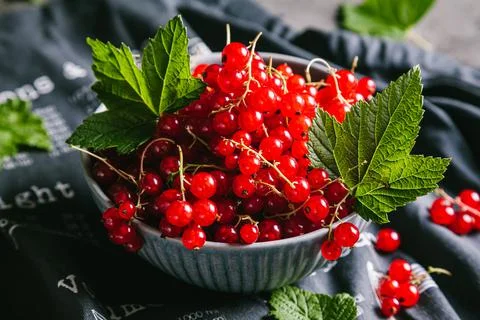 Red currant with leaves in a gray ceramic bowl on a gray kitchen towel. Stock Photos