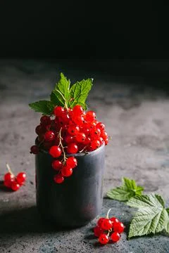 Red currant with leaves in a gray ceramic cup on a gray background. Stock Photos