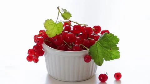 Red currant with leaves in white bowl on white background. Berries fall from Stock Footage 220094071