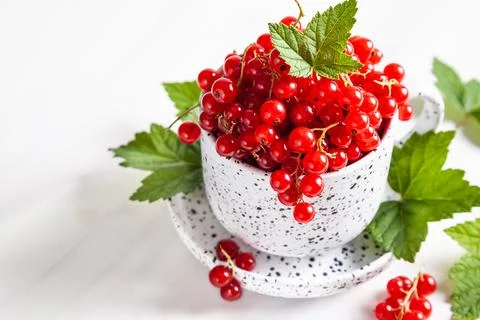 Red currant with leaves in a white ceramic cup on a white background. Stock Photos