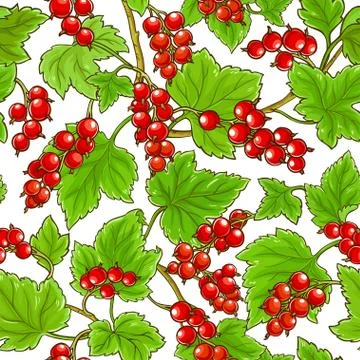 Red currant pattern Stock Illustration