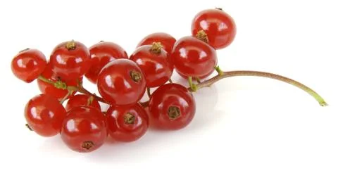 Red currant Stock Photos