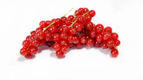 Red currant Stock Photos
