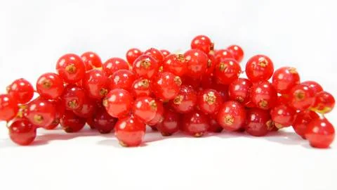 Red currant Stock Photos