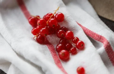 Red currant Stock Photos