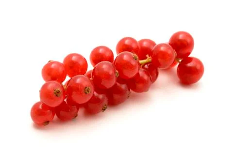 Red currant Stock Photos