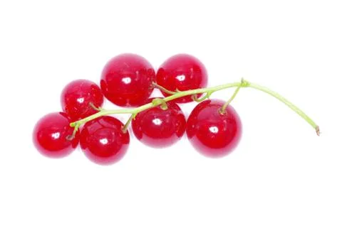 Red currant Foto stock