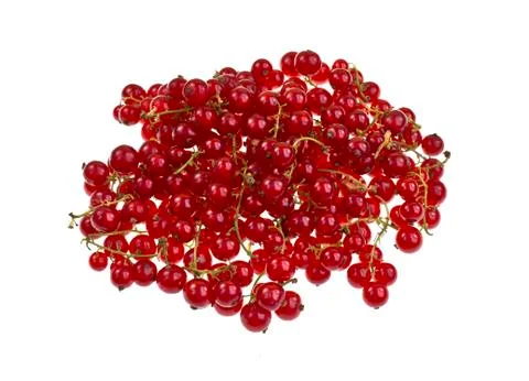 Red Currant Stock Photos