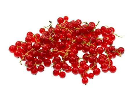 Red Currant Stock Photos