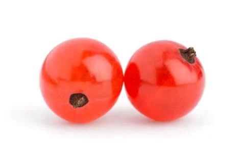 Red currant Stock Photos