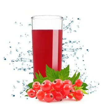 Red currant Stock Photos