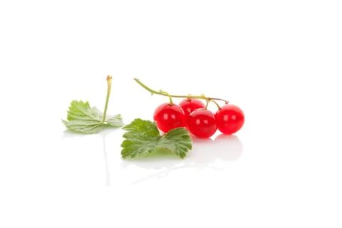 Red currant. Stock Photos