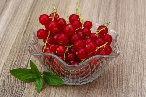Red currant Stock Photos