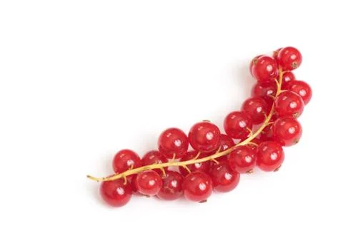 Red Currant Stock Photos