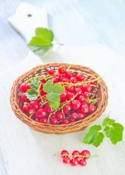 Red currant Stock Photos