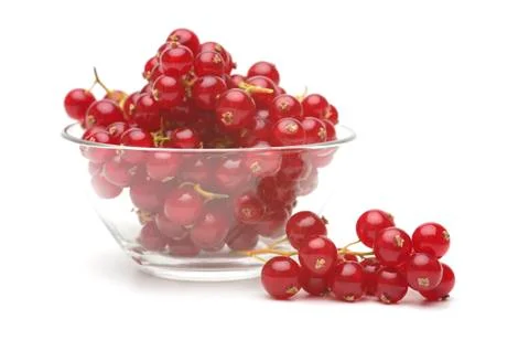 Red currant Stock Photos