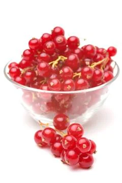 Red currant Stock Photos