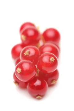 Red currant Stock Photos