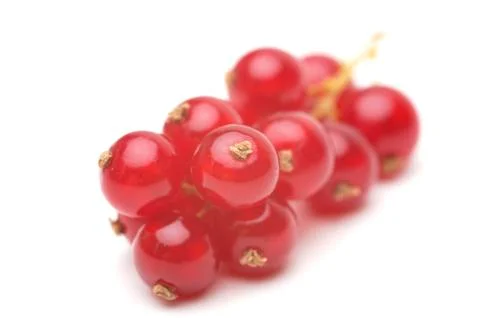 Red currant Stock Photos