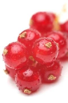 Red currant Stock Photos