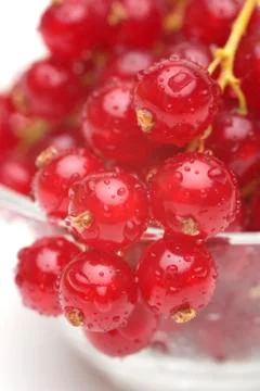 Red currant Stock Photos