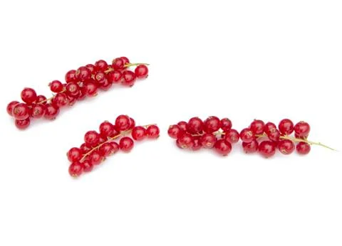 Red currant Stock Photos