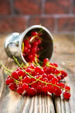Red currant Stock Photos